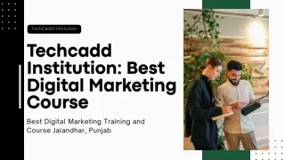 Best Digital Marketing Training and Course Jalandhar, Punjab