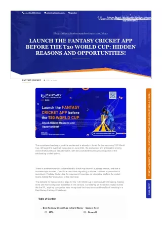 Launch the Fantasy Cricket App Before the T20 World Cup