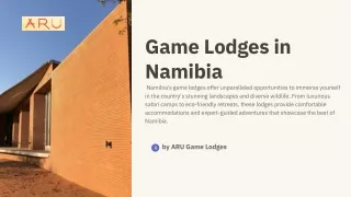 Namibia's Hidden Gems: Luxurious Game Lodges for the Discerning Traveller