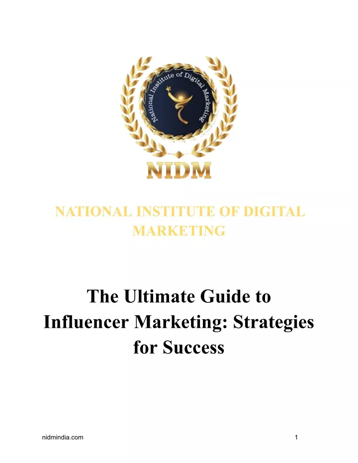 national institute of digital marketing