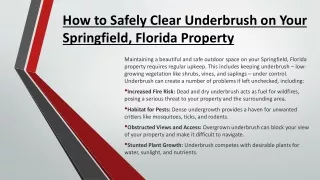 How to Safely Clear Underbrush on Your Springfield