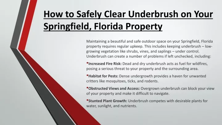 how to safely clear underbrush on your springfield florida property