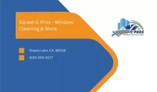 Squee-G Pros - Window Cleaning & More