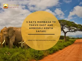 3 Days Mombasa to Tsavo East and Amboseli Kenya Safari