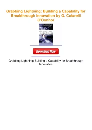 Grabbing Lightning: Building a Capability for Breakthrough Innovation by