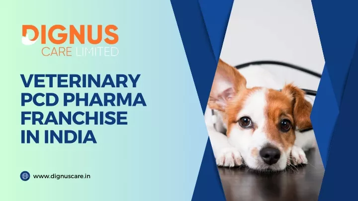 veterinary pcd pharma franchise in india