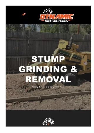 Palm Cleaning