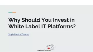 Why Should You Invest in White Label IT Platforms?