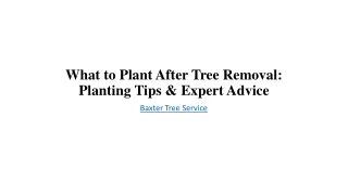What to Plant After Tree Removal