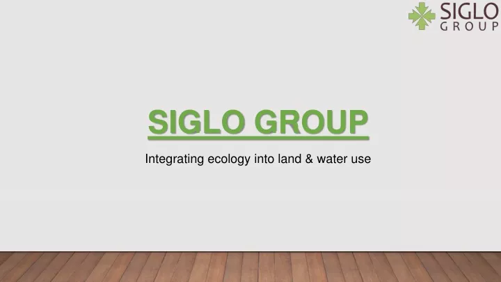 siglo group