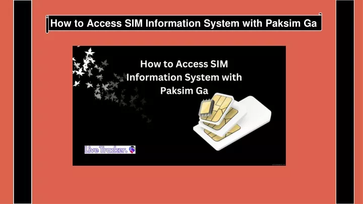 how to access sim information system with paksim