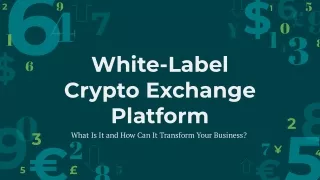 White-Label Crypto Exchange Platform_ What Is It and How Can It Transform Your Business