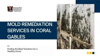 Mold Remediation Services in Coral Gables