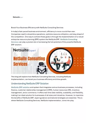 Improve Business Efficiency with NetSuite Consulting Services