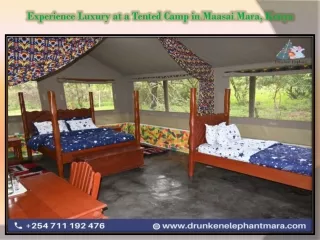 Experience Luxury at a Tented Camp in Maasai Mara, Kenya