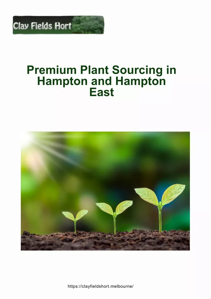 premium plant sourcing in hampton and hampton east