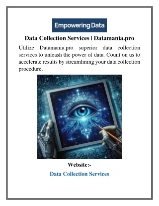 Data Collection Services Datamania.pro