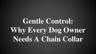 Gentle Control: Why Every Dog Owner Needs A Chain Collar