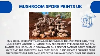 Mushroom spore prints UK