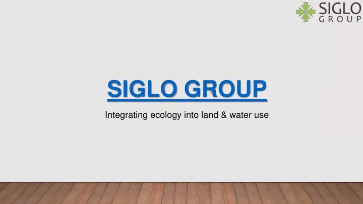 siglo group