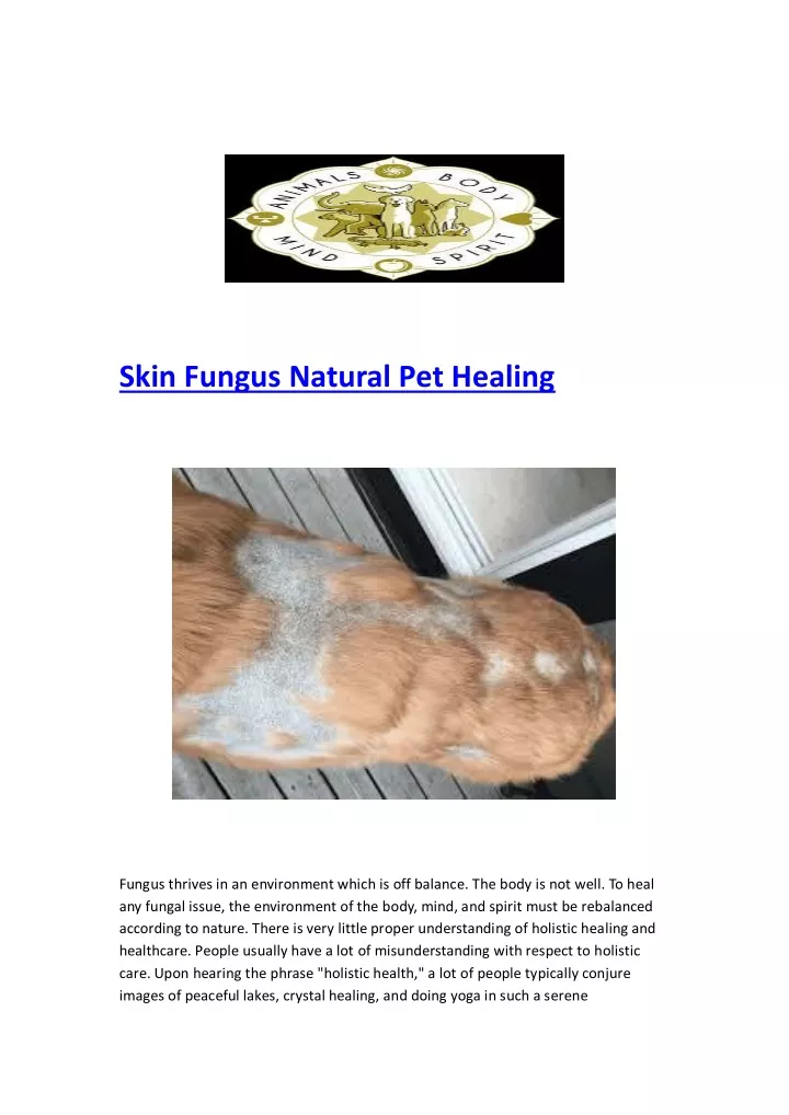 skin fungus natural pet healing