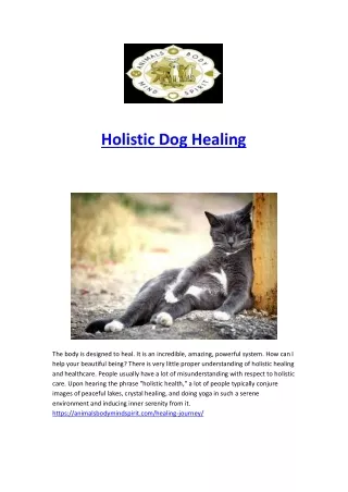 Holistic Dog Healing