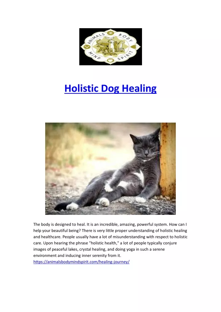 holistic dog healing