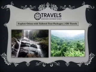 Explore Orissa with Tailored Tour Packages  OD Travels