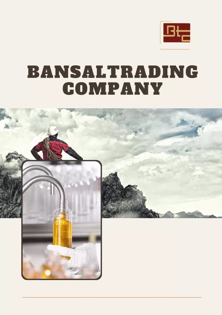 bansaltrading company