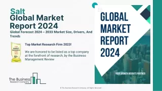 240531_Salt Global Market Report 2024