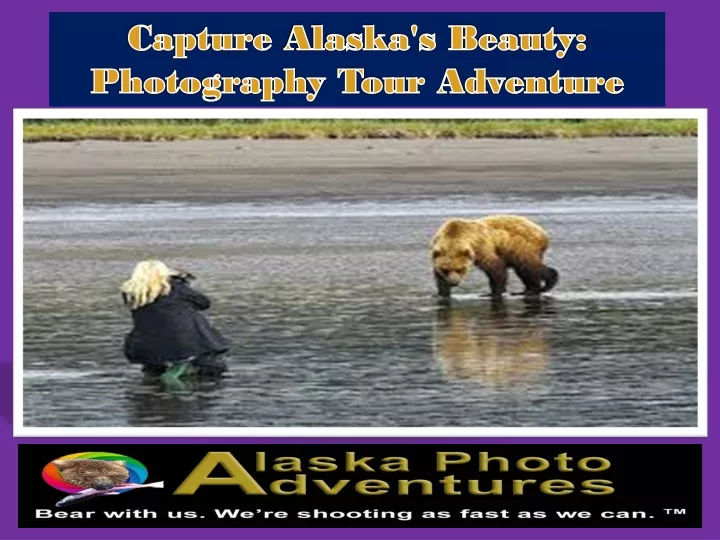 capture alaska s beauty photography tour adventure