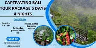 Captivating Bali Tour Package 5 Days 4 Nights