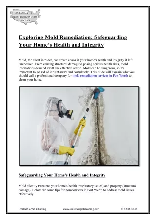 Exploring Mold Remediation: Safeguarding Your Home’s Health and Integrity