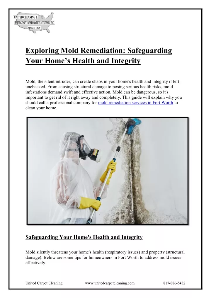 exploring mold remediation safeguarding your home