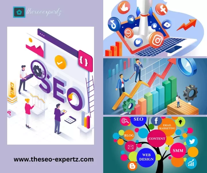 www theseo expertz com