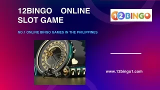 12Bingo Online Slot Game