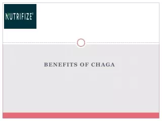 Benefits Of Chaga