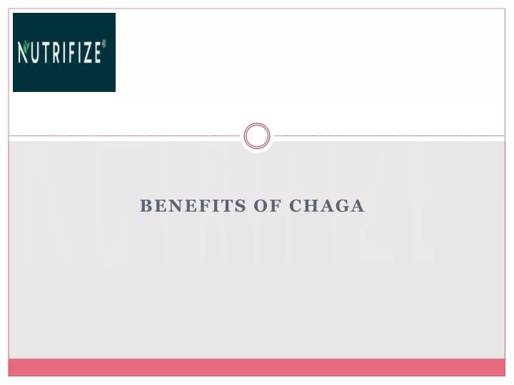 benefits of chaga