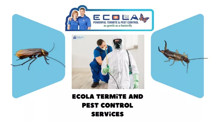 ecola termite and pest control services