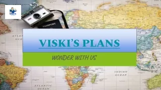 viski s plans