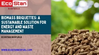 Biomass Briquettes A Sustainable Solution for Energy and Waste Management.