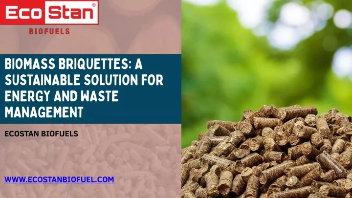 biomass briquettes a sustainable solution