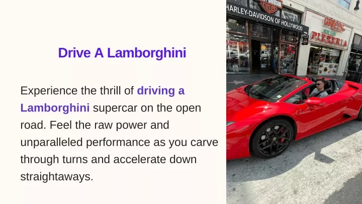 drive a lamborghini