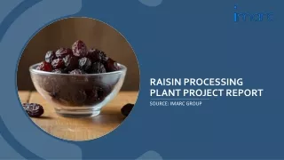 Raisin Processing Plant Project Report 2024