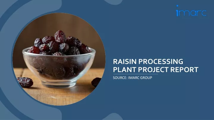 raisin processing plant project report