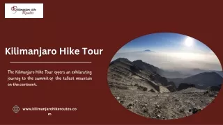 Kilimanjaro Hike Tour