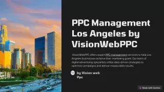 Professional PPC Management Los Angeles by Vision Web PPC