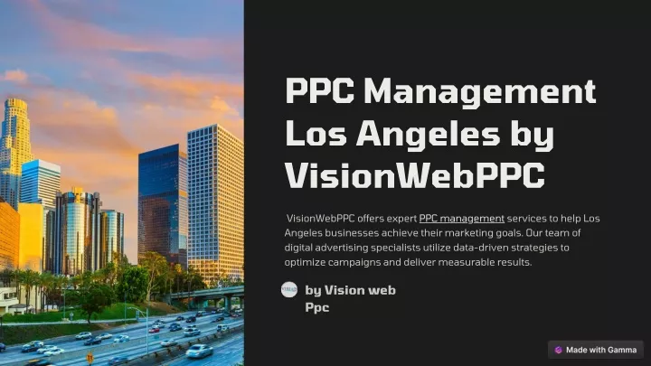 ppc management los angeles by visionwebppc
