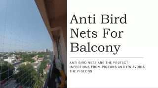 Anti bird nets