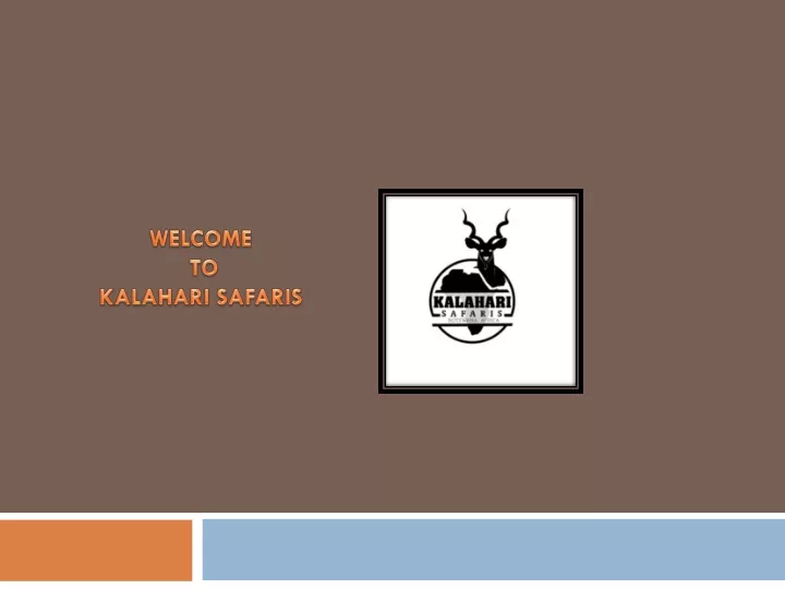 welcome to kalahari safaris